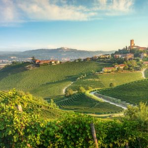 Barbaresco,Village,And,Langhe,Vineyards,In,The,Morning.,Piedmont,Region,