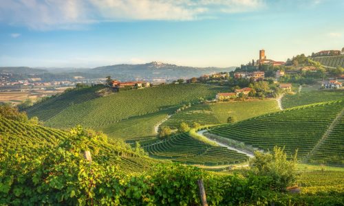 Barbaresco,Village,And,Langhe,Vineyards,In,The,Morning.,Piedmont,Region,